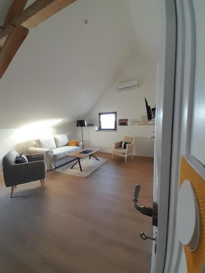 Le Repaire De Bacchus Apartment Saint-Nicolas-de-Bourgueil